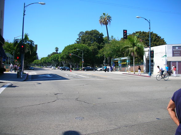 Beverly Hills & Hollywood - 