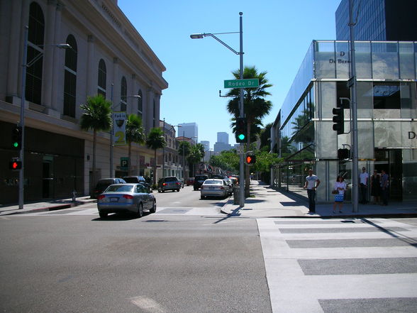 Beverly Hills & Hollywood - 