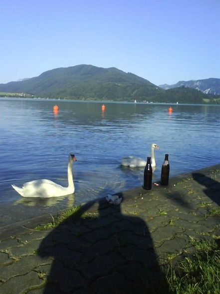 ~Bade Action in Mondsee~ - 