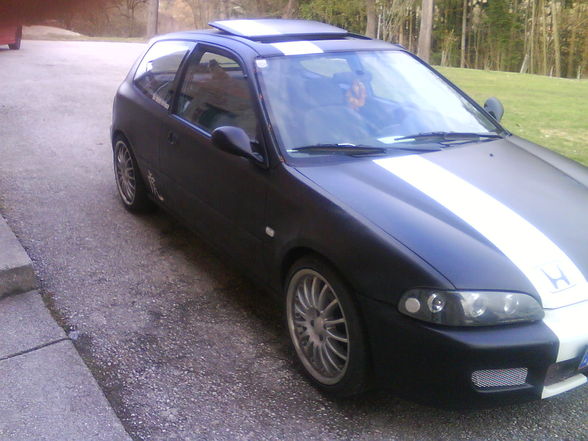 mein civic - 