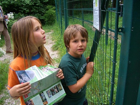 zOo - sOooO ViElE PLuM-PluMS :-o - 