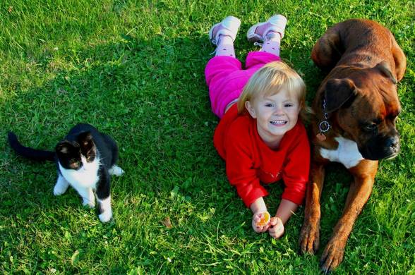 Family and Pet`s - 