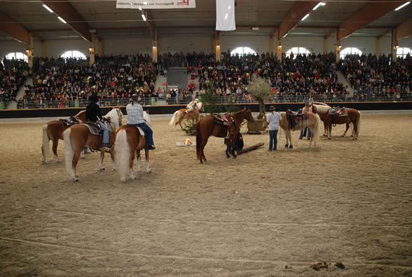 Heiße Eisen  2008 - 