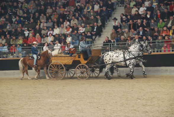 Heiße Eisen  2008 - 