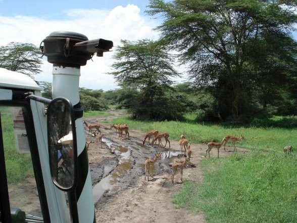 KENIA Weihnachten 2006..... - 