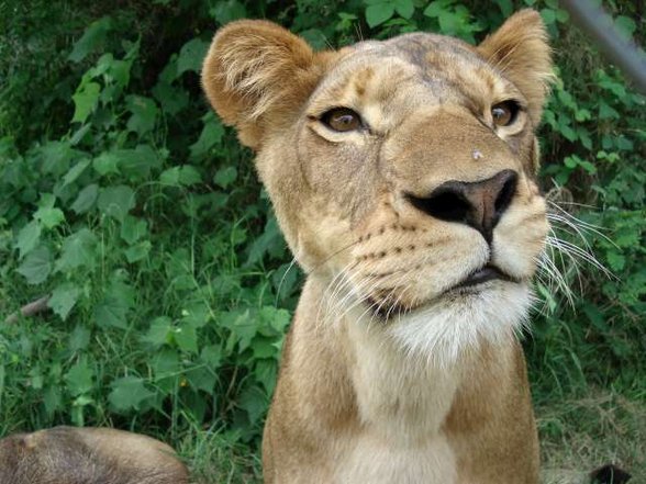 KENIA Weihnachten 2006..... - 