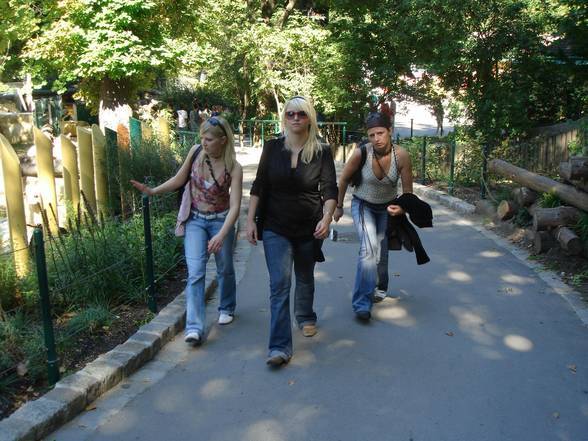 Vienna mit Heintje,Babsi,Kathi & Sch - 