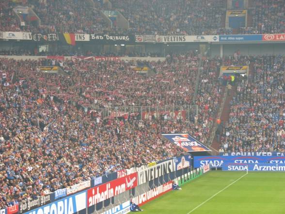 SCHALKE - KÖLN - 