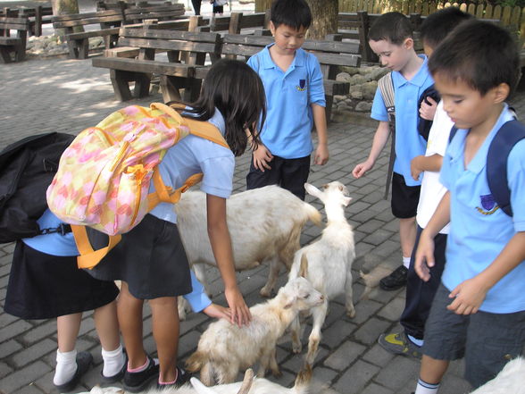 Shanghai Zoo - 