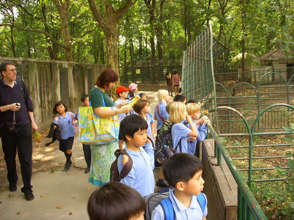 Shanghai Zoo - 