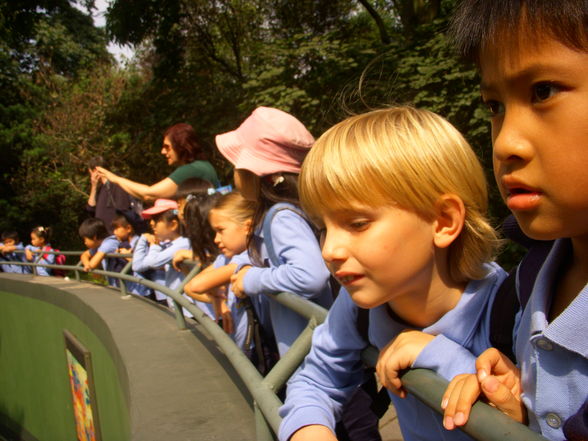 Shanghai Zoo - 