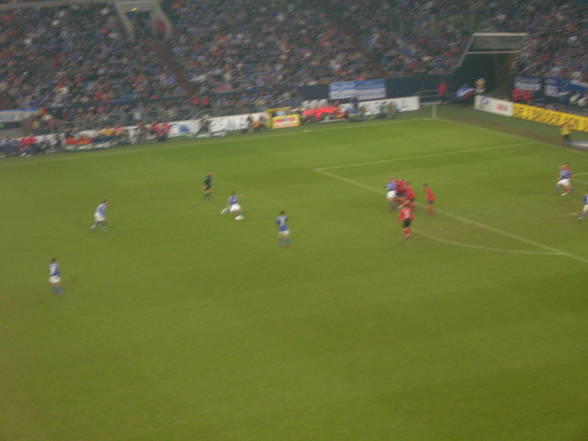 AUF SCHALKE - 