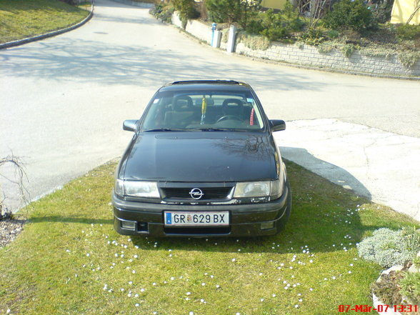 meine Autos! - 