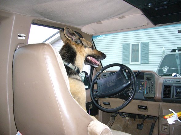 The American Way Of Life - 