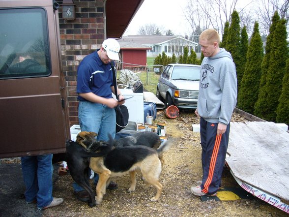 The American Way Of Life - 