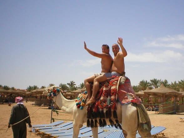 Ägypten 04 - 
