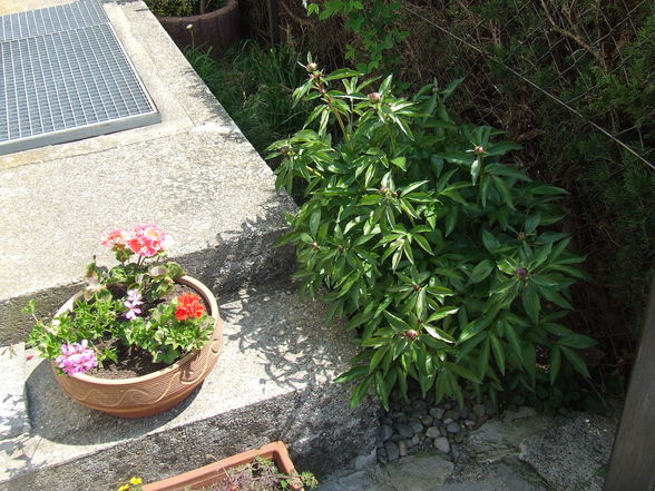 Im Garten - 