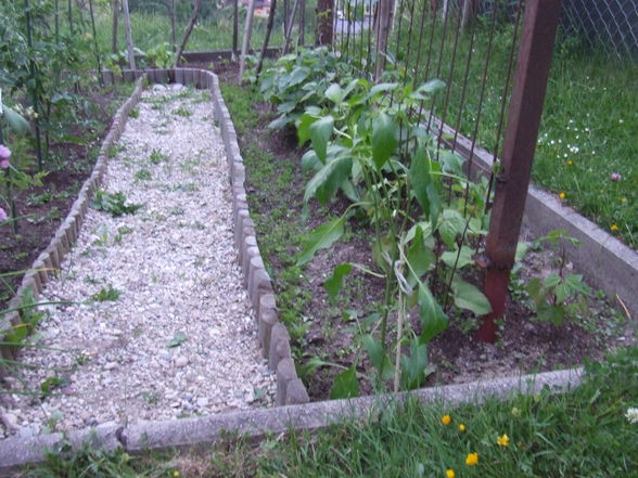 Gemüsegarten 2x4m - 