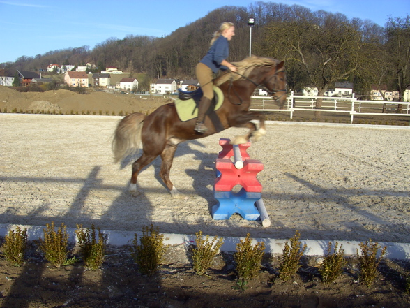 Das Glück der Erde ... - 