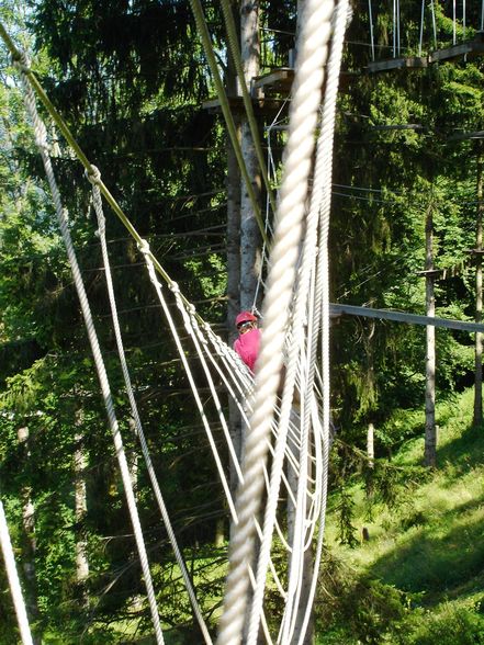 hochseilgarten - 