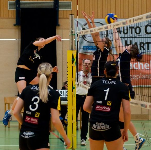 Mein Leben....Volleyball - 