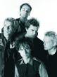 DIE TOTEN HOSEN - 