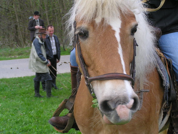 Cowboy Joe und seine Bande ;-) - 