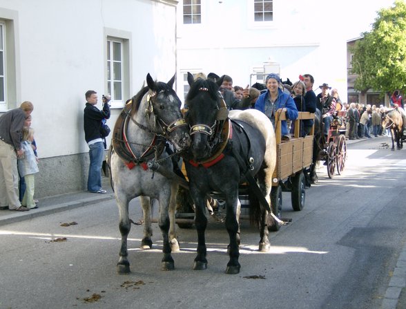 Cowboy Joe und seine Bande ;-) - 