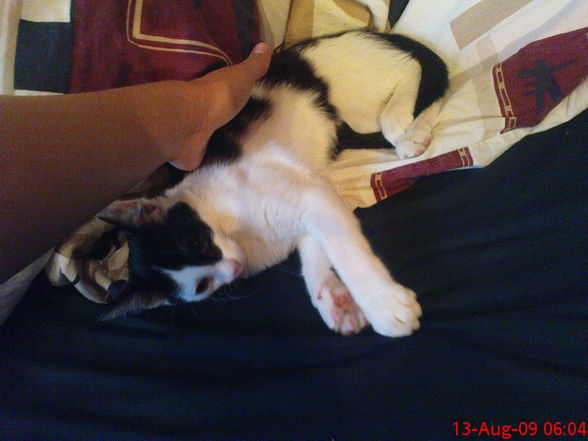 My littel Jacky . . . - 