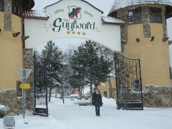 Guglwaldhof Februar 2009 - 