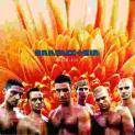 RAMMSTEIN - 