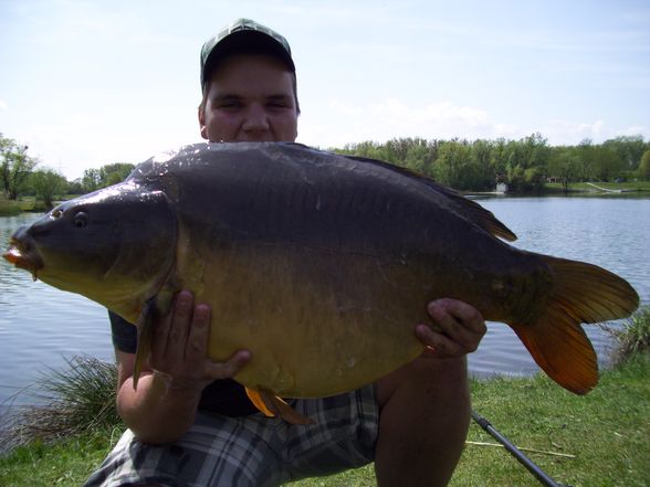 fischen am pleschingersee - 