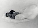 Anne Geddes - 