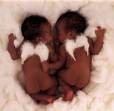 Anne Geddes - 