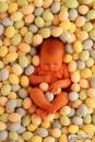 Anne Geddes - 