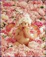 Anne Geddes - 