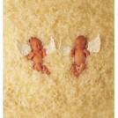 Anne Geddes - 