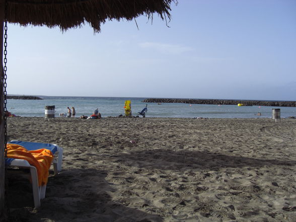 TENERIFA 2008 - 