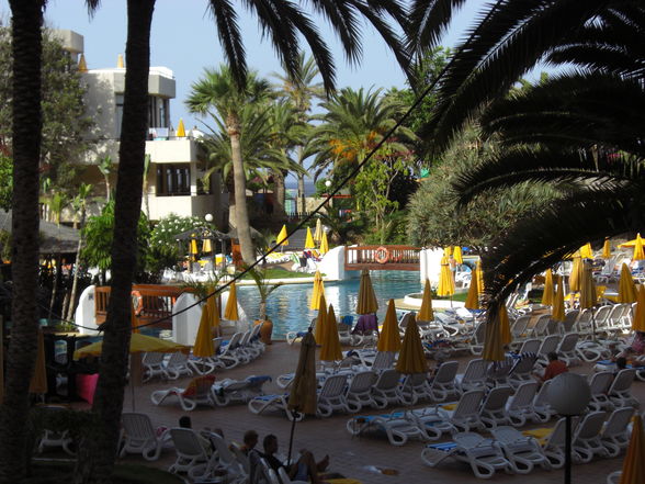 TENERIFA 2008 - 