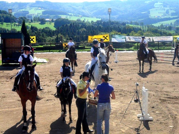 Waldfee danke für die schöne Zeit  - 