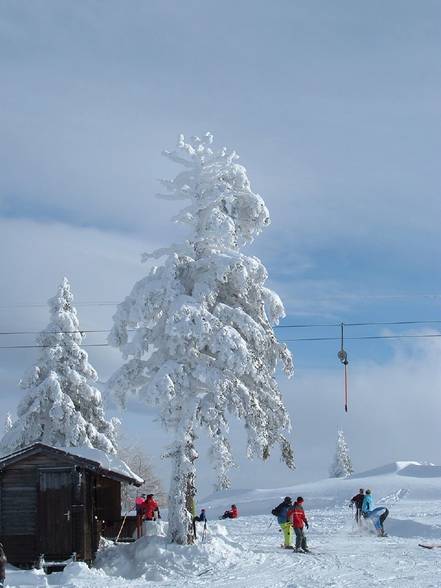 °° Kasberg snowboarden °° - 