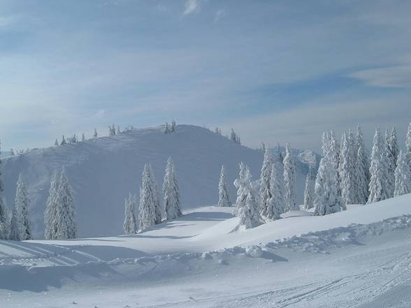 °° Kasberg snowboarden °° - 