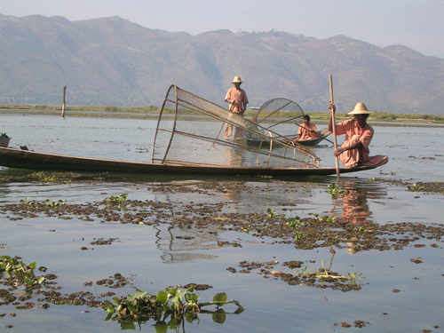 Burma - 