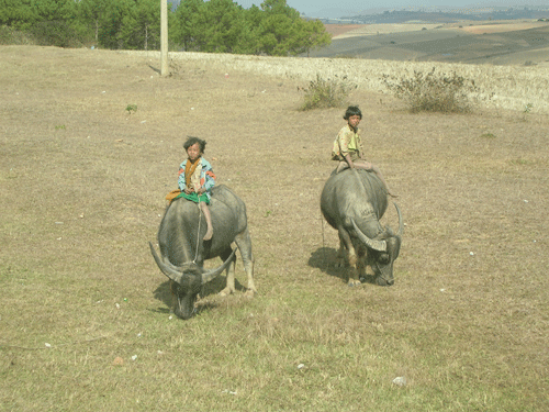 Burma - 