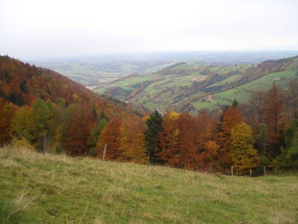 Wanderungen quer durch Österreich - 