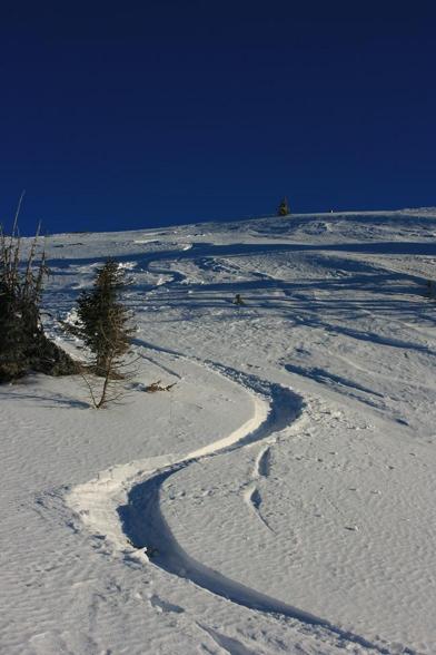 südtirol/galsterberg - 