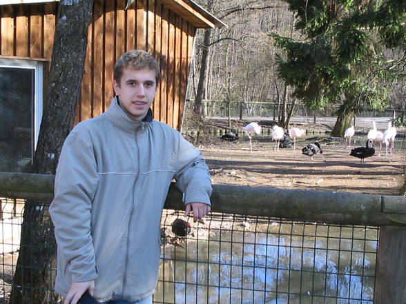 tierpark! :o) - 