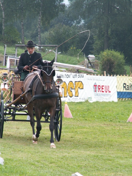 turnier 2007 - 