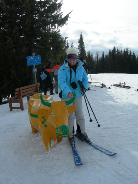 Schifoarn mit da Meli - Schladming 2008 - 