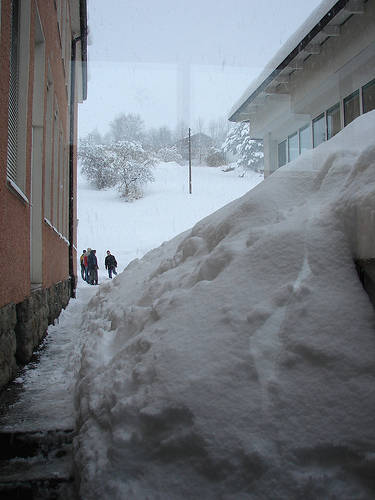 Haslach und Schnee!! - 